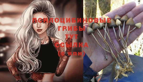 мет Алексеевка