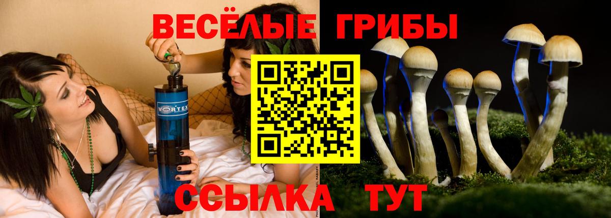 Галлюциногенные грибы Psilocybe Тосно