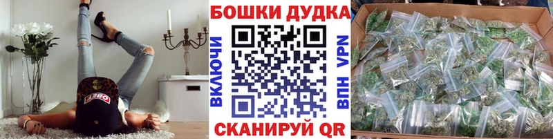 Каннабис SATIVA & INDICA  Тосно 